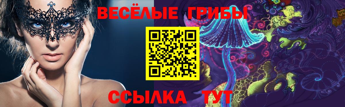 Галлюциногенные грибы мицелий Бутурлиновка